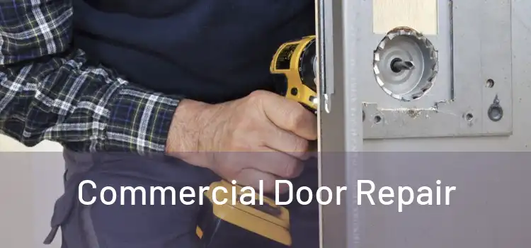 Commercial Door Repair